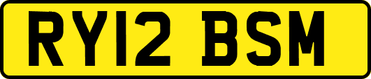 RY12BSM