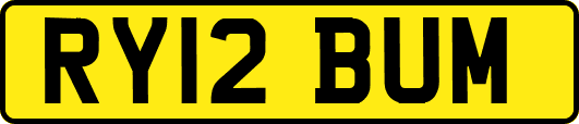 RY12BUM