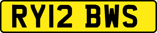 RY12BWS