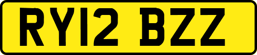 RY12BZZ