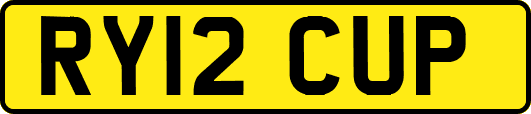 RY12CUP