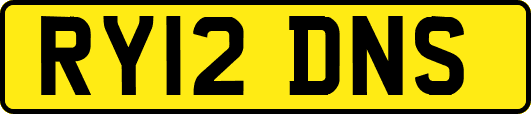 RY12DNS