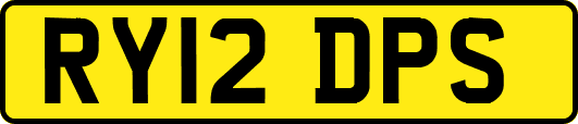 RY12DPS
