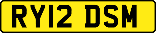 RY12DSM