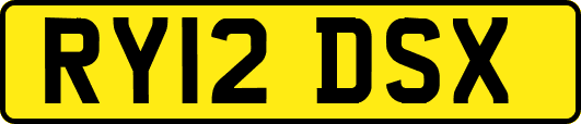 RY12DSX
