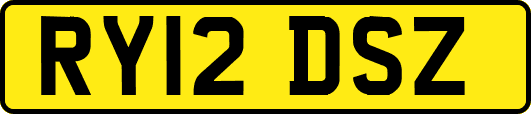 RY12DSZ