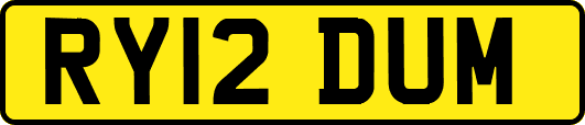 RY12DUM
