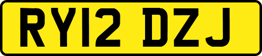 RY12DZJ