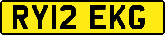 RY12EKG
