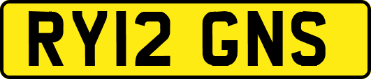 RY12GNS