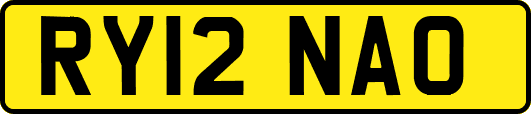 RY12NAO