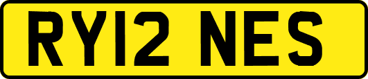 RY12NES