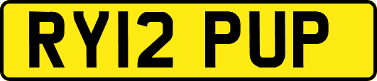 RY12PUP