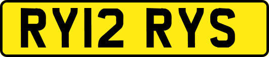 RY12RYS