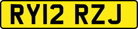 RY12RZJ