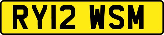 RY12WSM