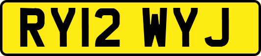 RY12WYJ