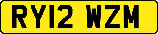 RY12WZM