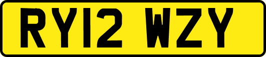 RY12WZY