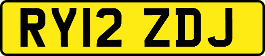 RY12ZDJ