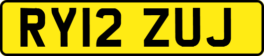 RY12ZUJ