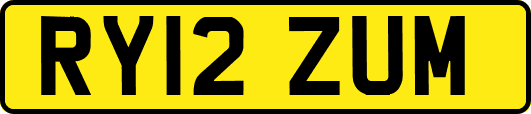 RY12ZUM