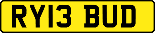 RY13BUD