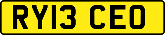 RY13CEO