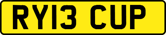 RY13CUP