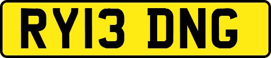 RY13DNG