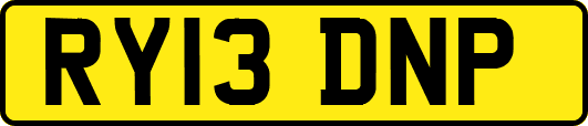 RY13DNP