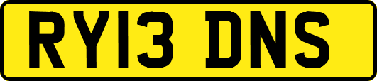 RY13DNS
