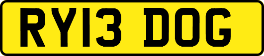 RY13DOG