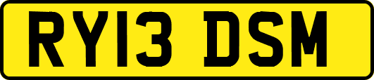 RY13DSM