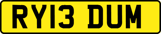 RY13DUM