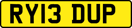 RY13DUP