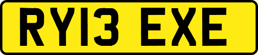 RY13EXE