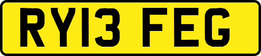 RY13FEG