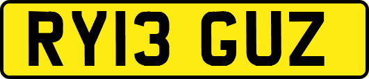 RY13GUZ
