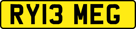 RY13MEG