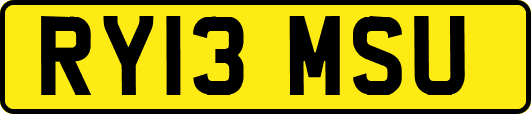 RY13MSU