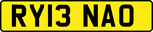 RY13NAO