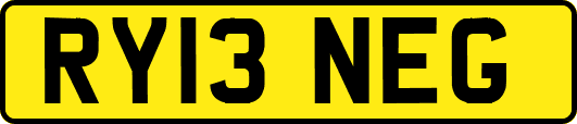 RY13NEG