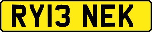 RY13NEK