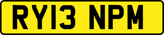 RY13NPM