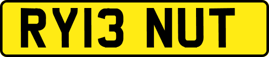RY13NUT