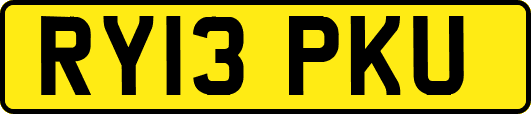 RY13PKU