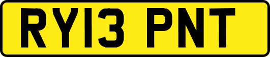 RY13PNT