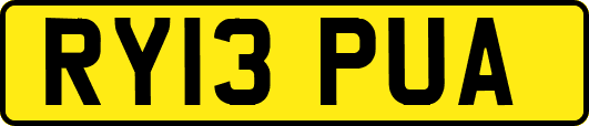 RY13PUA