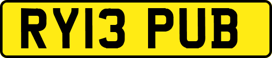 RY13PUB